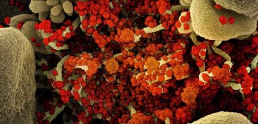 New project offers efficient approach when tracking SARS-CoV-2 variants