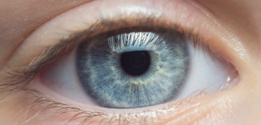 New resource-light model can identify many common eye diseases