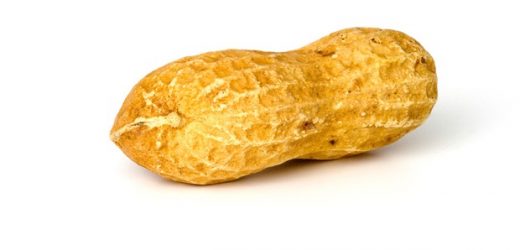 Oral immunotherapy for peanut allergies is highly effective when started for infants under 12 months