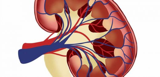 Primary glomerular disease is associated with high cardiovascular disease risk