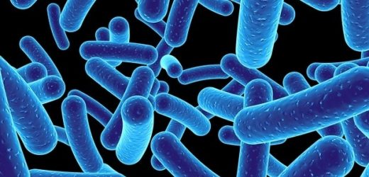 Research reveals a potential Achilles heel in the protective layers surrounding Gram-negative bacteria