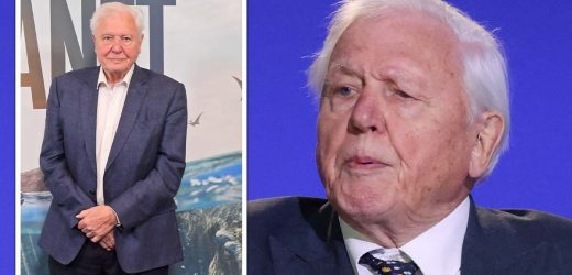 Sir David Attenborough health: Star is ‘coming to terms’ with memory loss – natural ageing