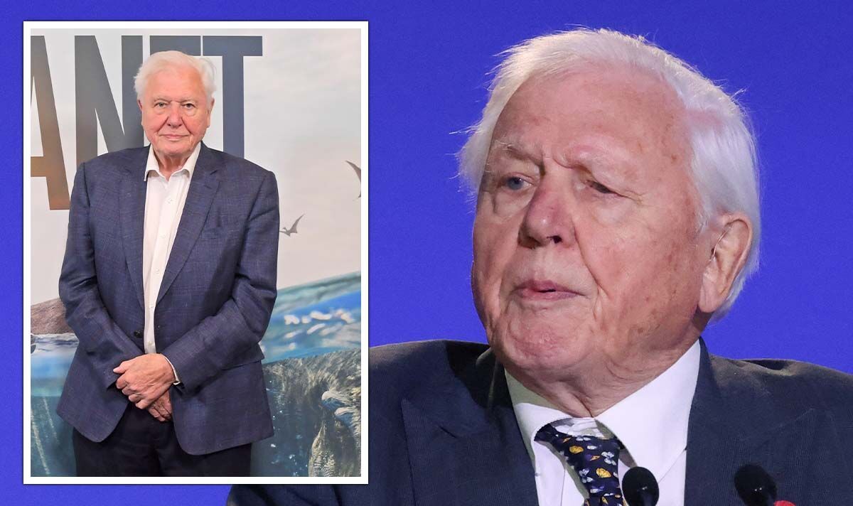 Sir David Attenborough health: Star is ‘coming to terms’ with memory loss – natural ageing