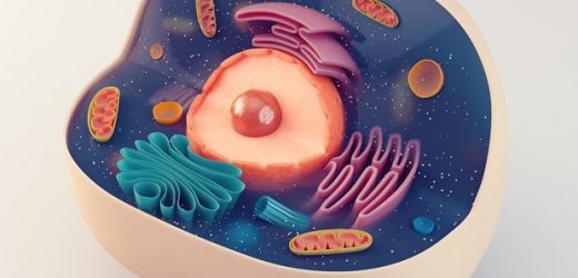 Study points to a new direction for the development of NAMPT-targeted cancer therapies