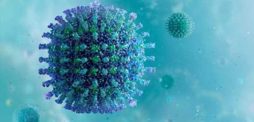 The role of ARF6 in SARS-CoV-2 endocytosis and infection