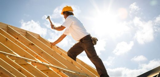 Top 20 calorie-burning jobs in the UK from dog walkers to plumbers