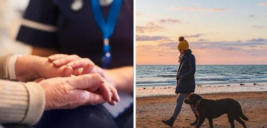 Walking the dog can reduce dementia risk study suggests
