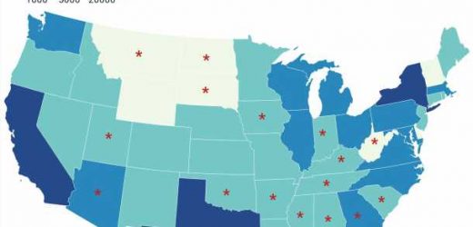 A window into the number of trans teens living in America