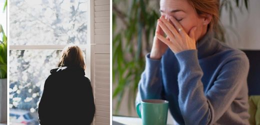 Disease X: Will we see the feared viral threat this year?