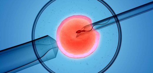 Fertility Doctors, IVF Families, Post-Roe: Were Anxious