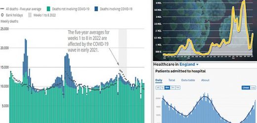 Lockdowns 'still killing 1,000 people a week', statistician suggests