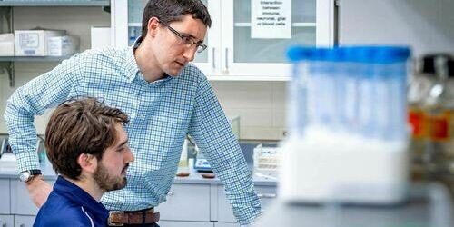 Lymphatics help ‘seed’ early brain cells in zebrafish