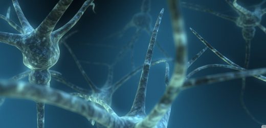 New insights into melanoma brain metastases