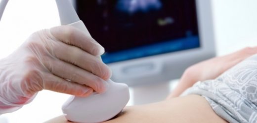 Newly developed bioadhesive ultrasound helps in long-term continuous imaging of diverse organs