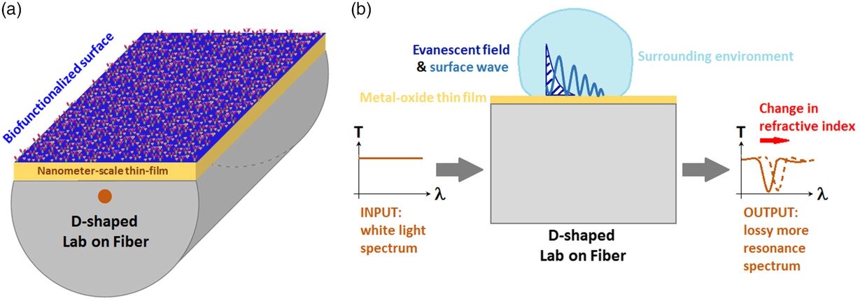 Optical sensors and lab-on-fiber technology may detect Alzheimer’s disease at early stages