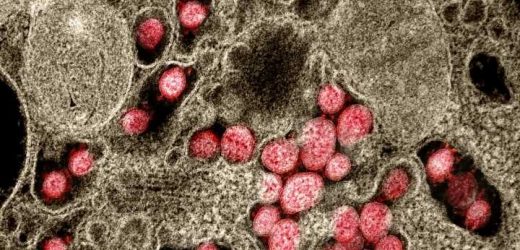 Pair of studies points to Huanan market as epicenter of SARS-CoV-2 emergence