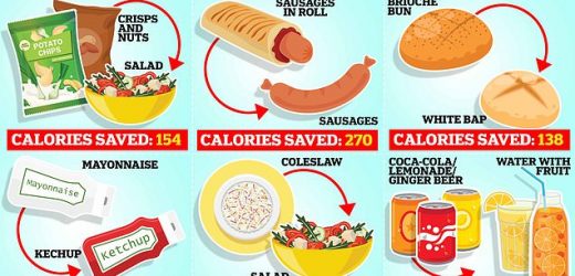 Planning a BBQ this heatwave? MailOnline's guide to save you calories
