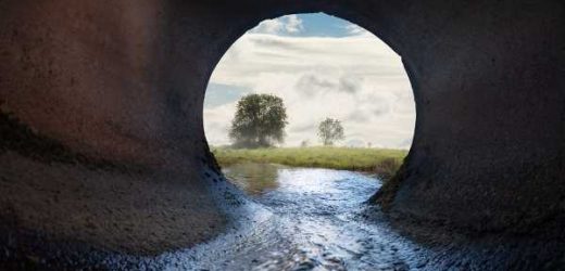 Pollution and health: Contaminated soil may lead to heart disease