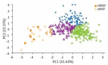 Researchers discover neuronal cell type for controlling the flow of information in the brain