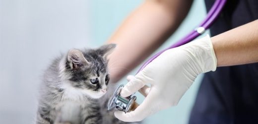 Researchers discover new key protection against COVID-19 in saliva