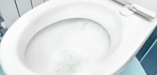 Scientists: Preserving stool samples could be good insurance policy