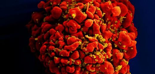 Study shows HIV speeds up body’s aging processes soon after infection