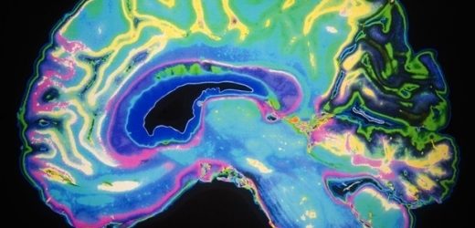 The brain plays a crucial role when choices about future pain versus future profit are concerned