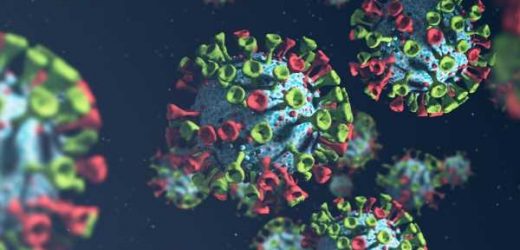 The global succinylation and protein abundance in SARS-CoV-2–infected cells