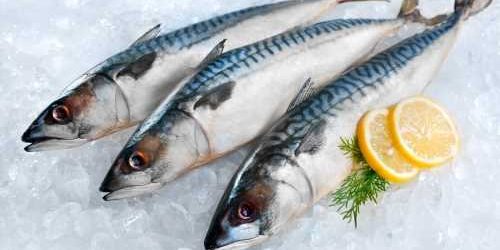 Using Flow Cytometry to Assess Fish Freshness