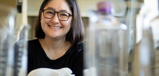 What bats can teach us about stopping the next pandemic