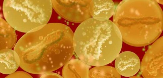What is the monkeypox transmission risk in metropolitan areas?