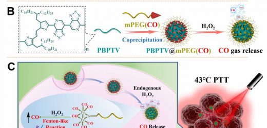 Carbon oxide gas boosts photothermal therapy under mild temperature