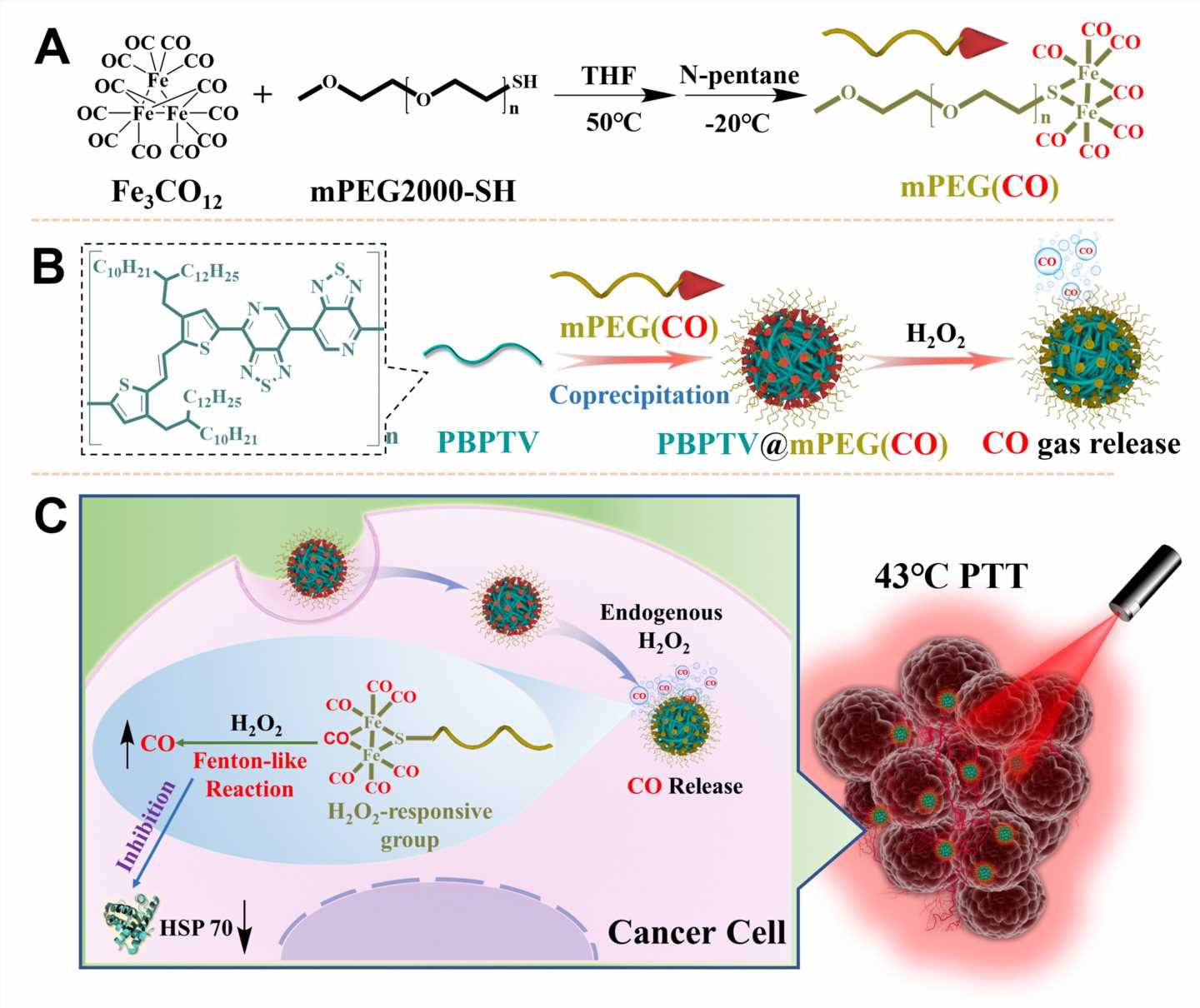 Carbon oxide gas boosts photothermal therapy under mild temperature