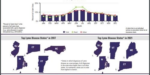 Lyme disease diagnoses increased 357% in rural areas over past 15 years