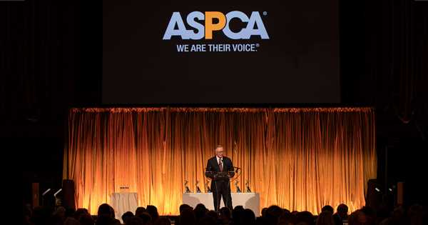 The ASPCA Honors Exceptional Animals and People at the 2022 Humane Awards