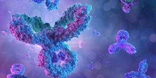 Transplacental passage of specific IgG in maternal SARS-CoV-2 infection