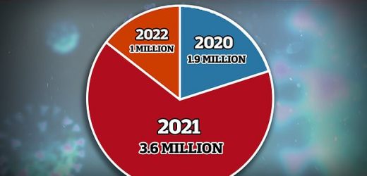2022 hits &apos;tragic milestone&apos; of ONE MILLION Covid deaths