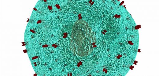 A gene not previously known to regulate immunity could turn tired T-cells around