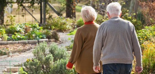 An Hour of Walking Per Week May Boost Longevity in Elderly