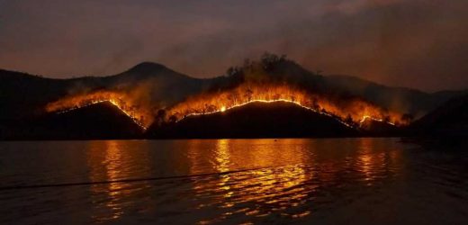 Black saliva, sore throat, shortness of breath: How dangerous is wildfire season for US farmworkers?