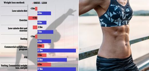 Don&apos;t go on weight-loss diet if you&apos;re not obese, Harvard study hints