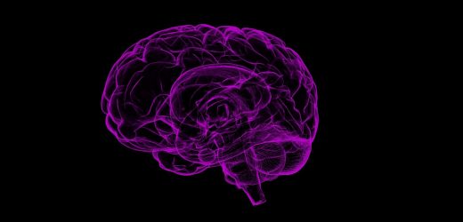 Drugs effects of ketamine in mice can depend on the sex of the human experimenter