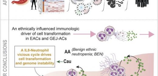 Genetic variation explains racial disparity in esophageal cancer cases