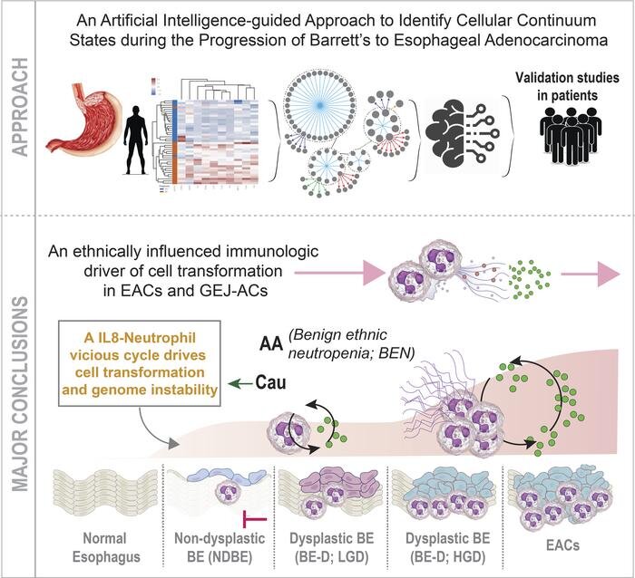 Genetic variation explains racial disparity in esophageal cancer cases