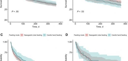 Hand-fed dementia patients see 40% lower risk of pneumonia than those who are tube-fed