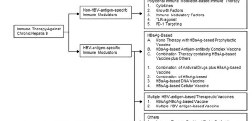 Immune therapies against chronic hepatitis B