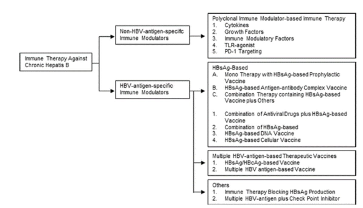 Immune therapies against chronic hepatitis B