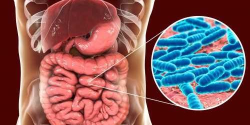 Is there an association between the gut microbiome of people within different countries and the severity of COVID-19?