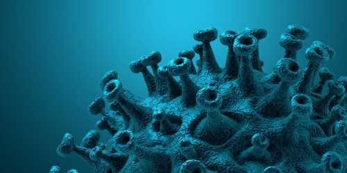 Is vaccine status associated with the severity of Omicron SARS-CoV-2 infection in hospitalized patients?