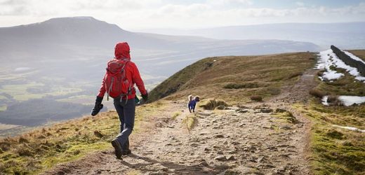 Meeting your daily step goal &apos;really does prevent illnesses&apos;